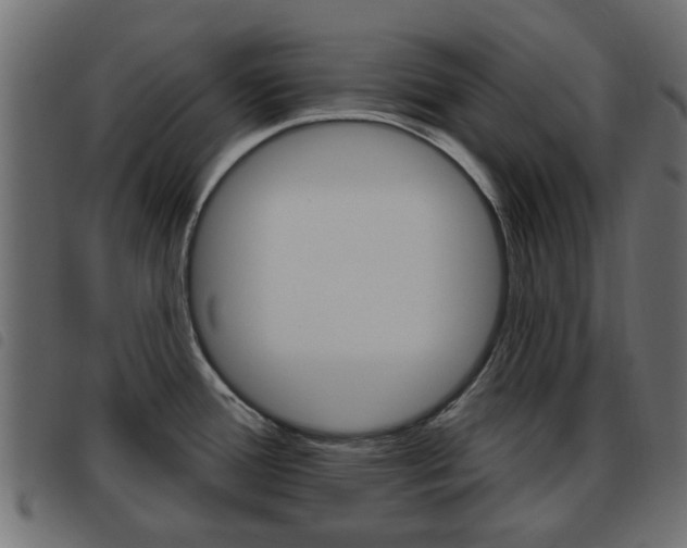 X0000093621388200710151032
