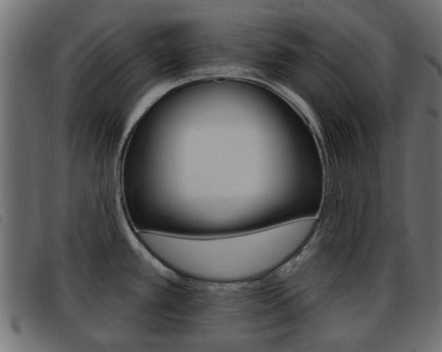 X0000093621389200710151032