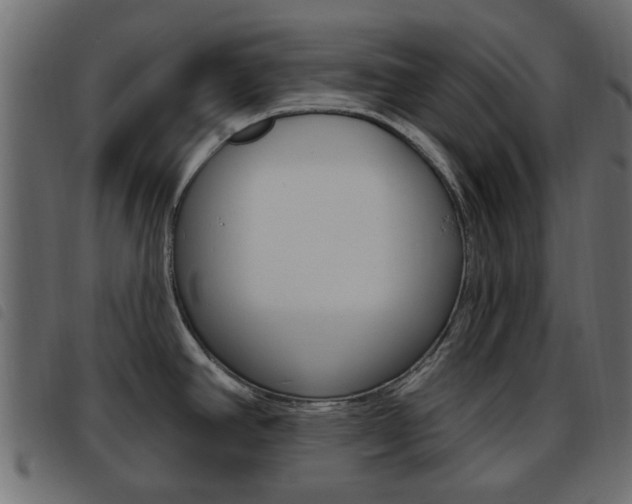 X0000093621390200710151032