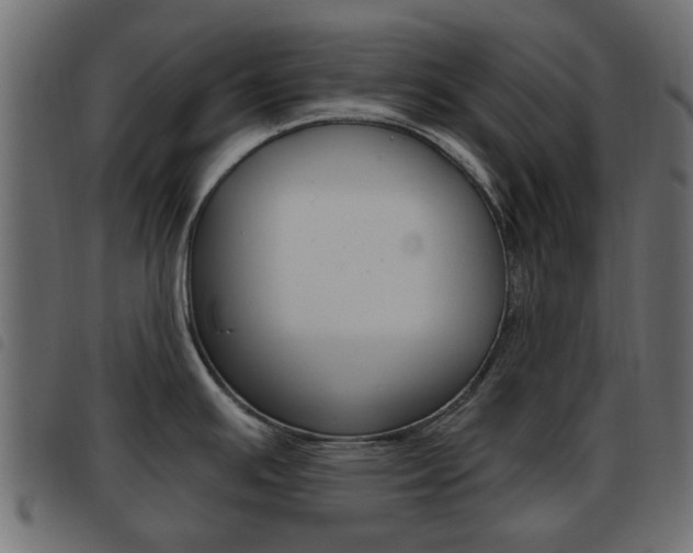 X0000093621391200710151032