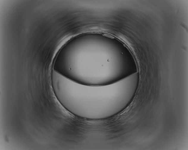 X0000093621392200710151032