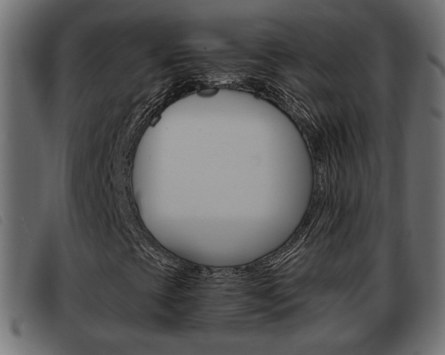 X0000093621393200710151031