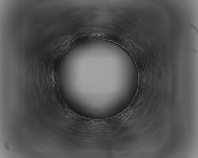 X0000093621394200710151031