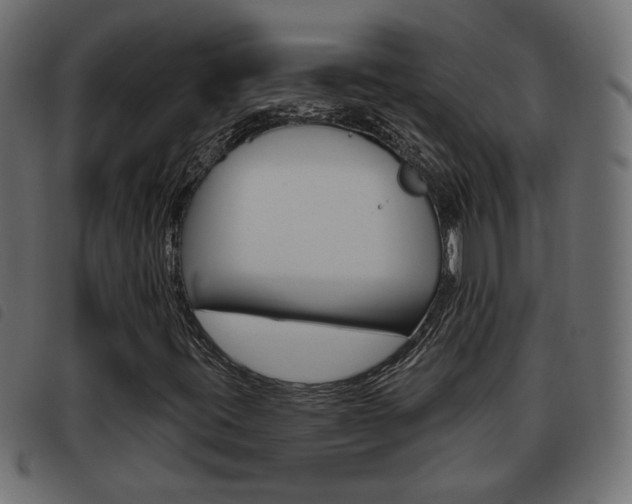 X0000093621395200710151031
