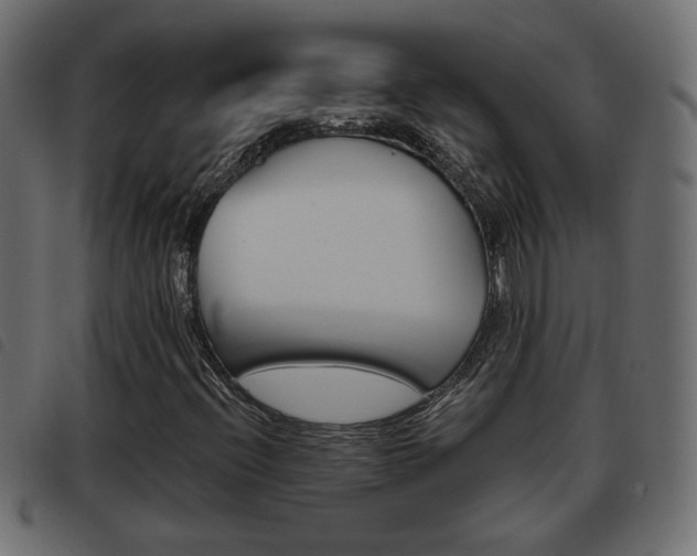 X0000093621396200710151031