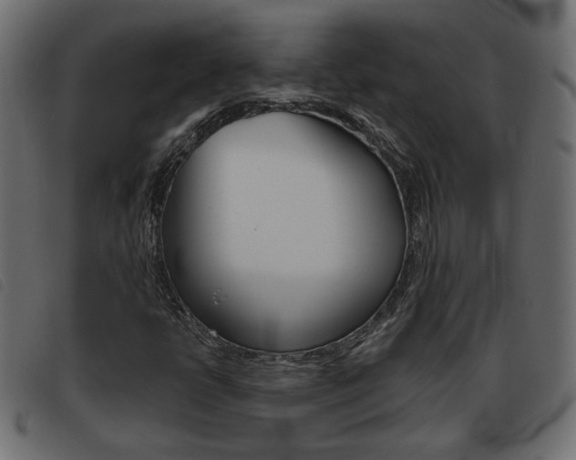 X0000093621398200710151031