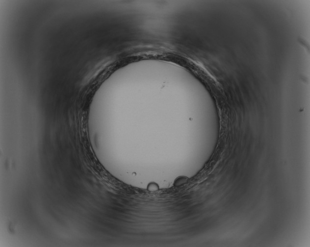 X0000093621399200710151031