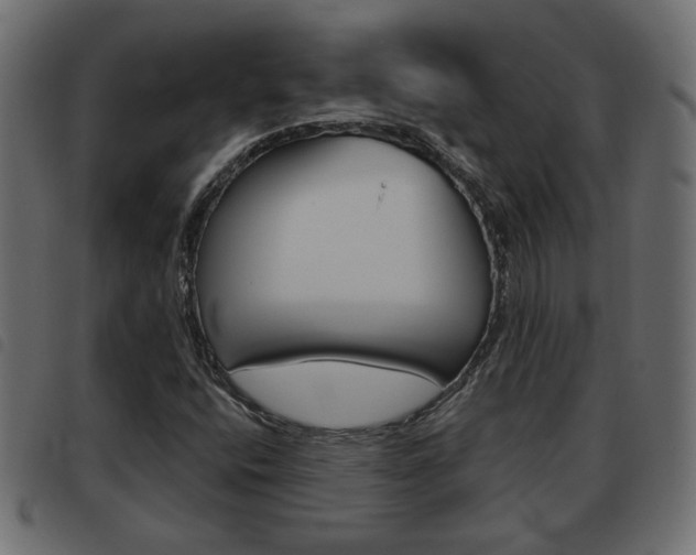 X0000093621400200710151031