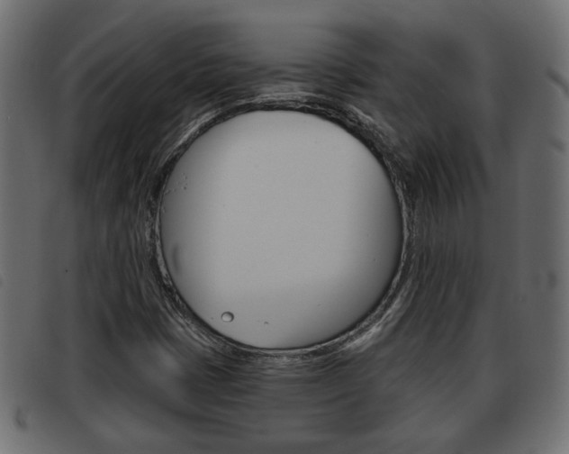X0000093621401200710151031