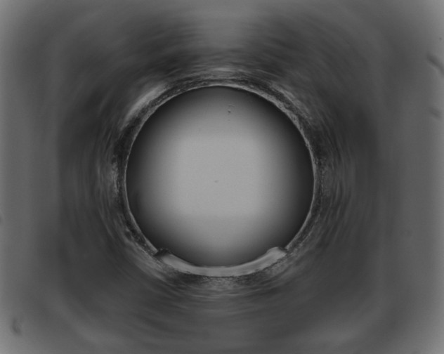 X0000093621402200710151031