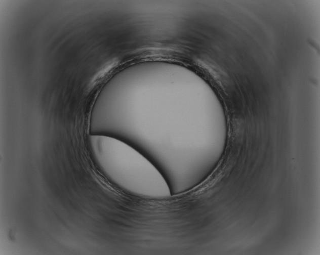 X0000093621403200710151031