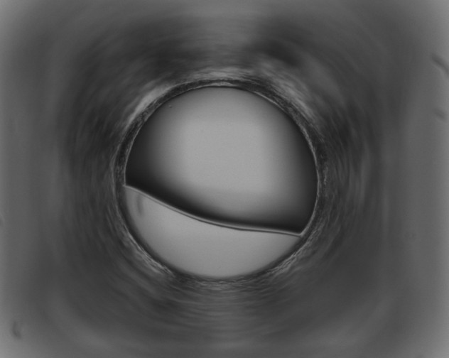 X0000093621404200710151031