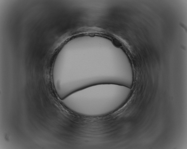 X0000093621407200710151031