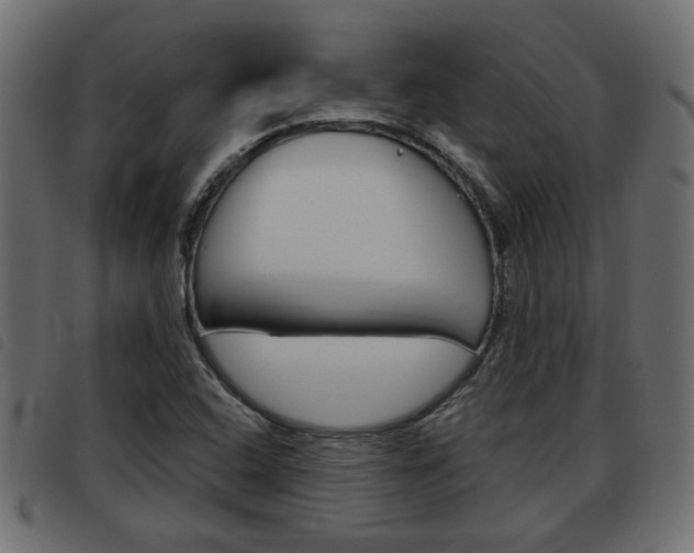 X0000093621408200710151031