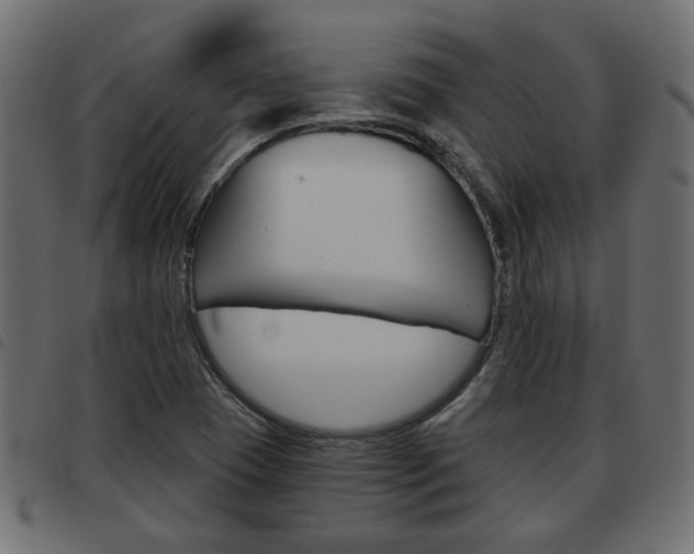 X0000093621409200710151031