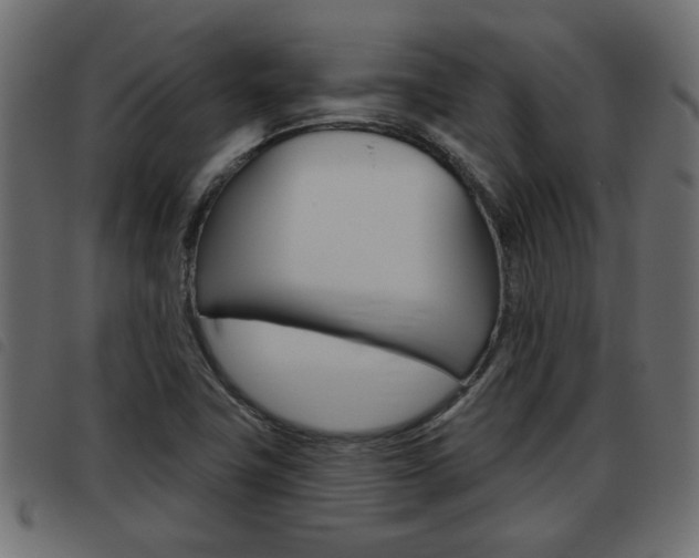 X0000093621411200710151031
