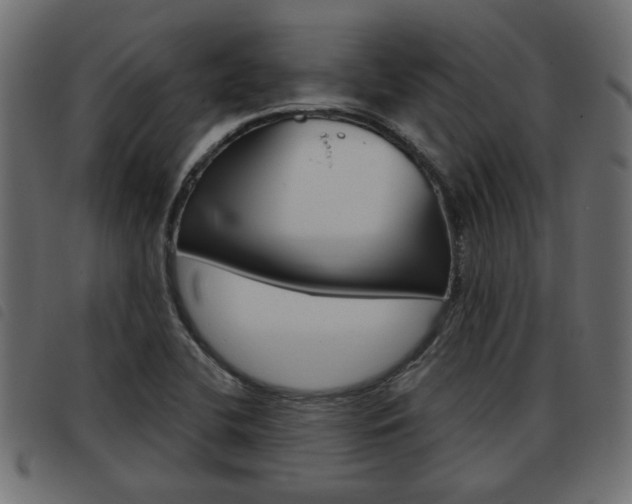 X0000093621412200710151031