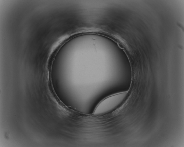 X0000093621414200710151031
