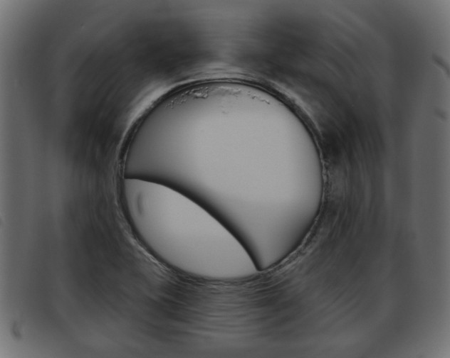 X0000093621415200710151031