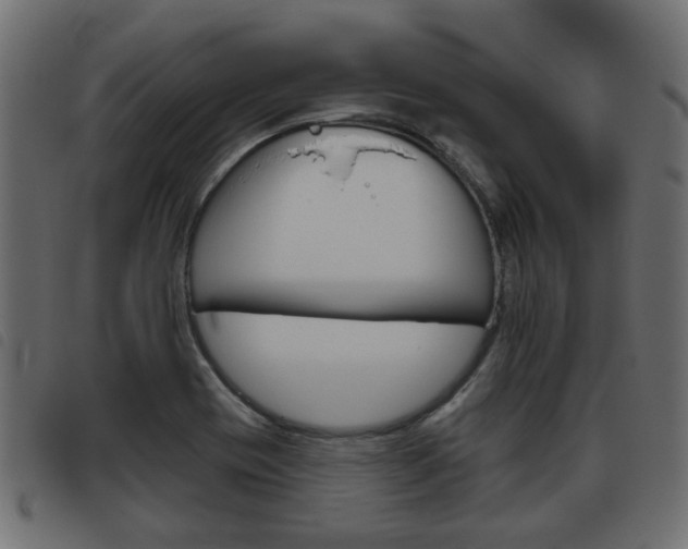 X0000093621417200710151031