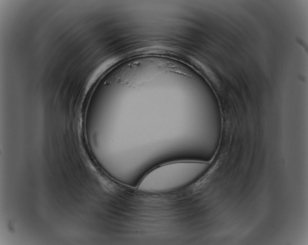 X0000093621418200710151031