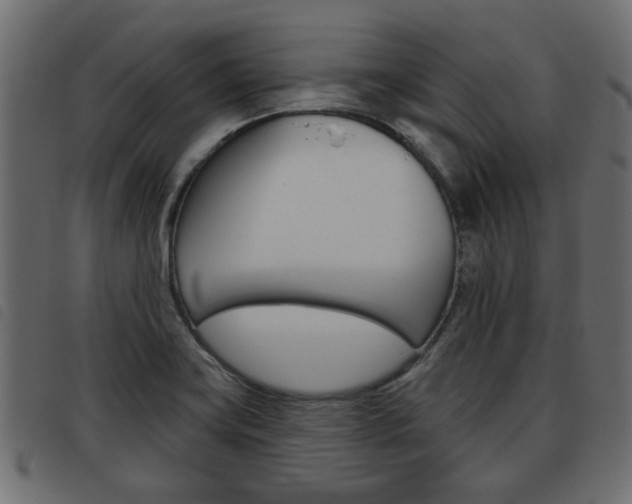 X0000093621419200710151031