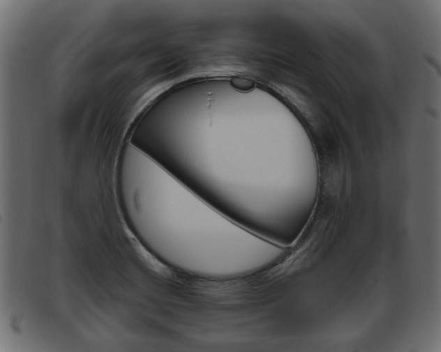 X0000093621420200710151031
