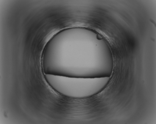 X0000093621423200710151032