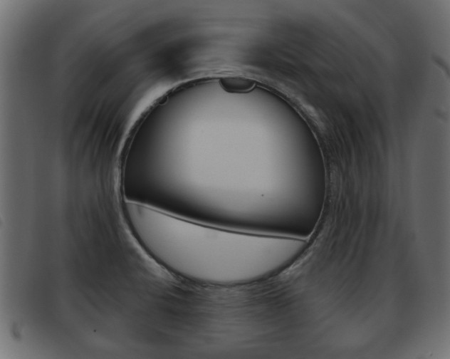 X0000093621424200710151032