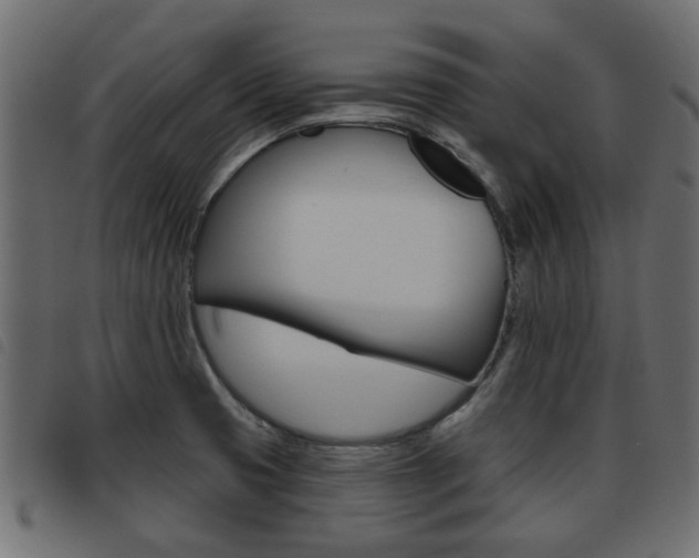 X0000093621425200710151032