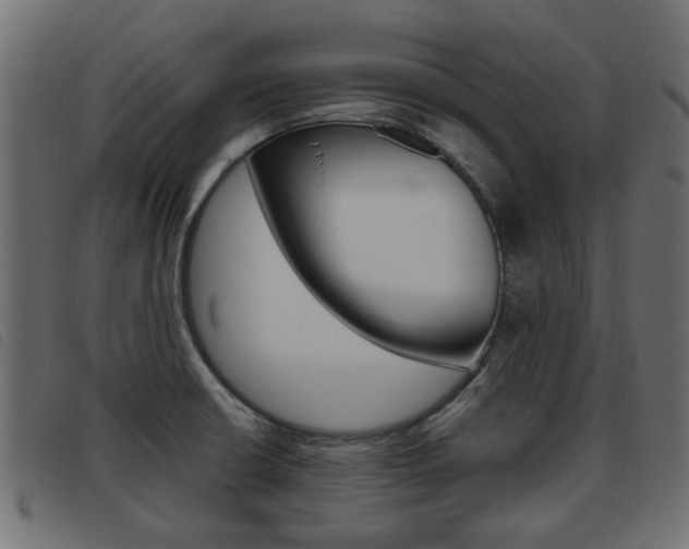 X0000093621426200710151032