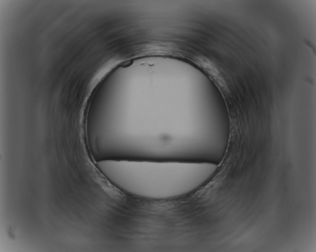 X0000093621427200710151032