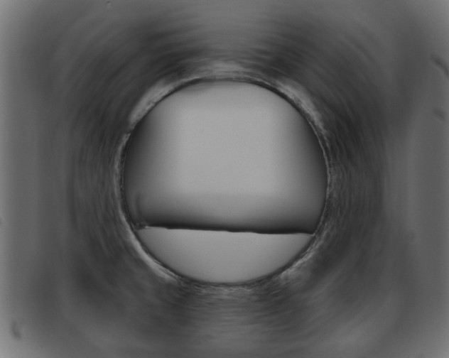 X0000093621429200710151032