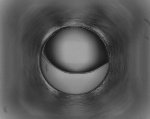 X0000093621430200710151032