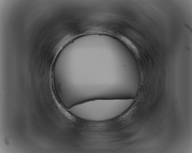 X0000093621431200710151032