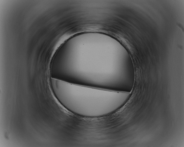 X0000093621432200710151032