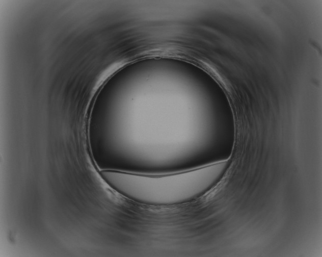 X0000093621434200710151032
