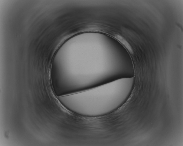 X0000093621436200710151032