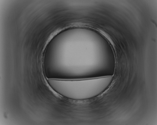 X0000093621437200710151032