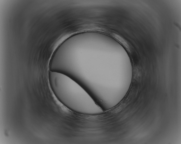X0000093621439200710151032