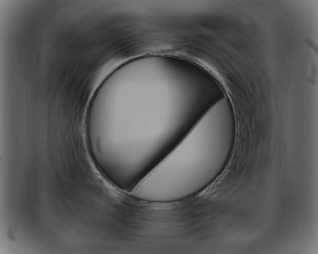 X0000093621440200710151032