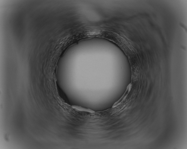 X0000093621441200710151031