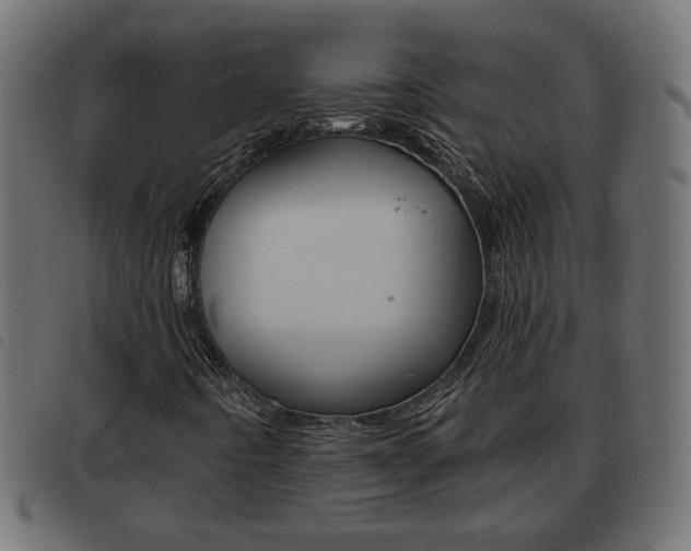 X0000093621442200710151031