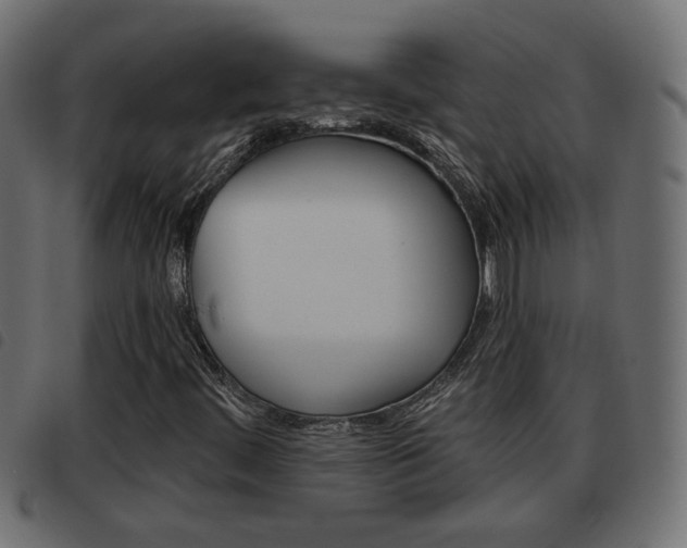 X0000093621444200710151031