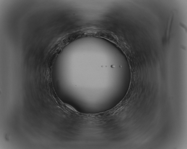 X0000093621445200710151031
