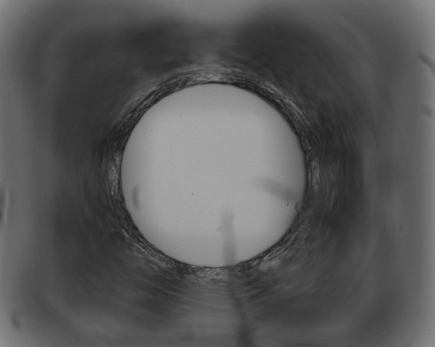 X0000093621446200710151031