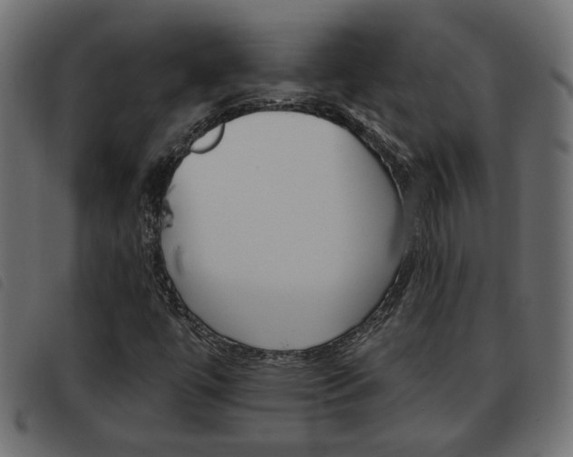 X0000093621447200710151031