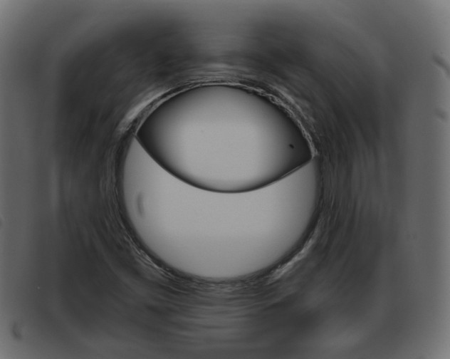 X0000093621453200710151031