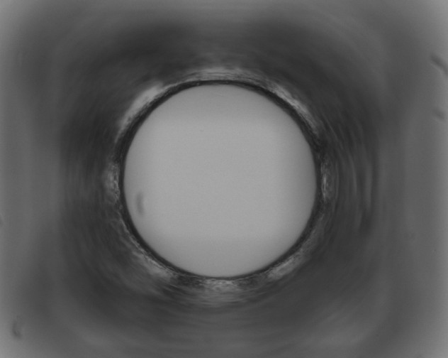 X0000093621454200710151031