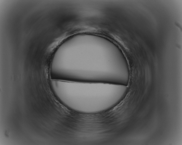 X0000093621455200710151031